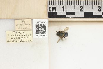 Media type: image;   Entomology 790655 Aspect: Labels